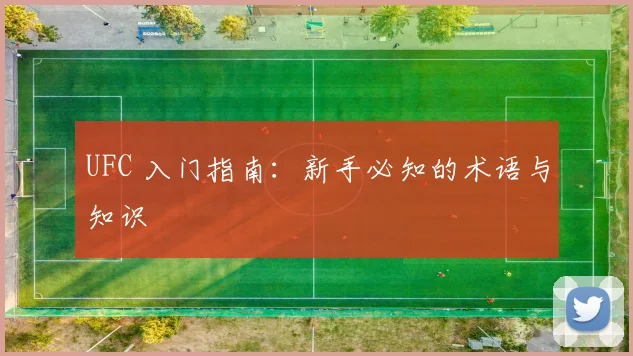 UFC 入门指南：新手必知的术语与知识