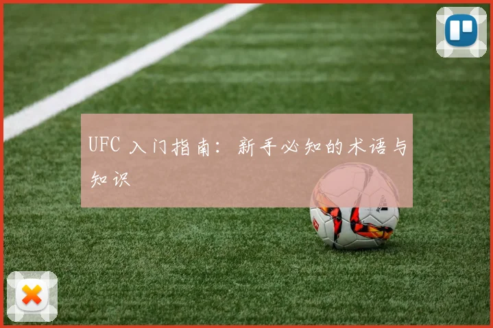 UFC 入门指南：新手必知的术语与知识